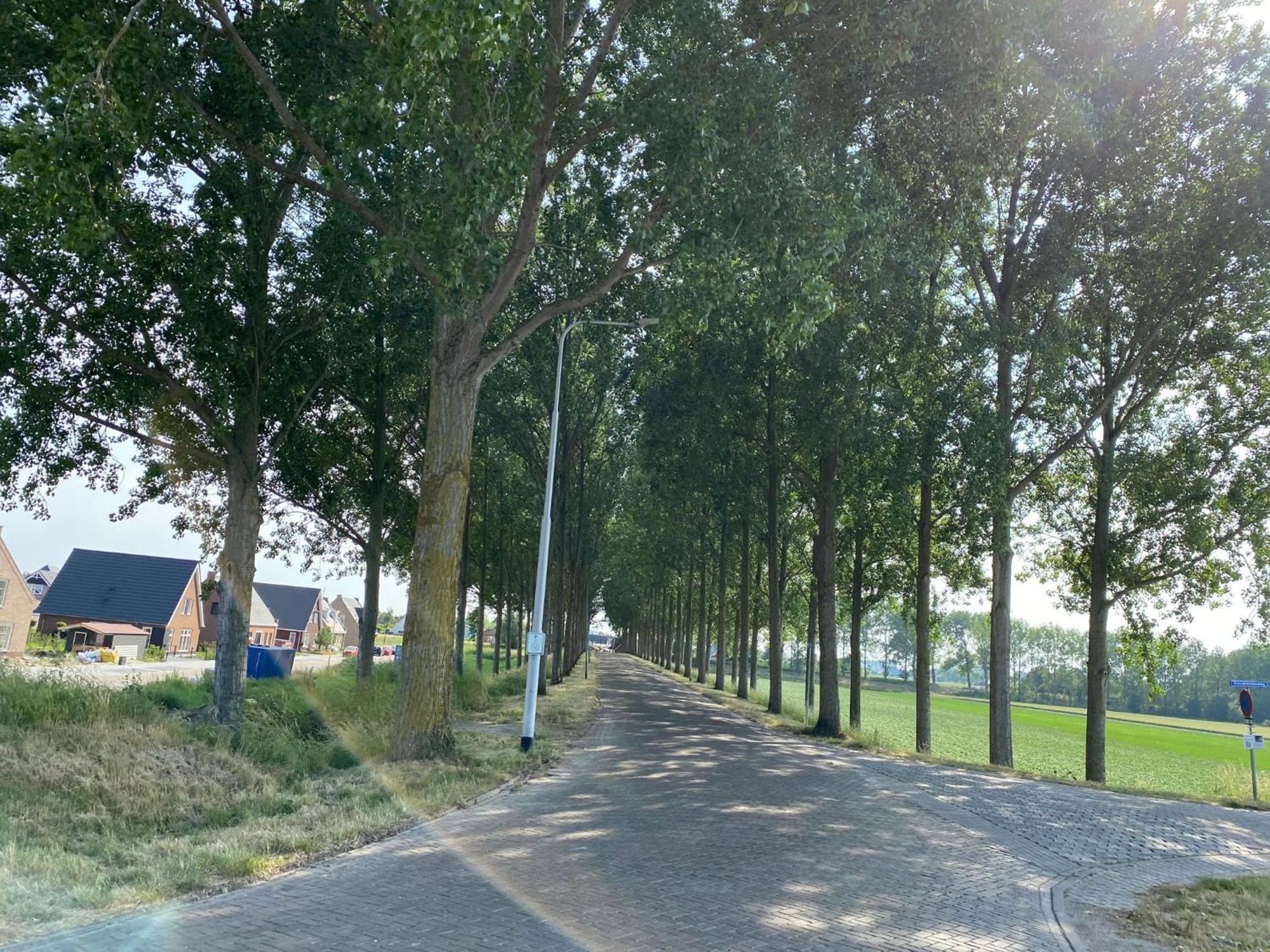 Krabbenkreek 2 Villa Sint Annaland Ngoại thất bức ảnh